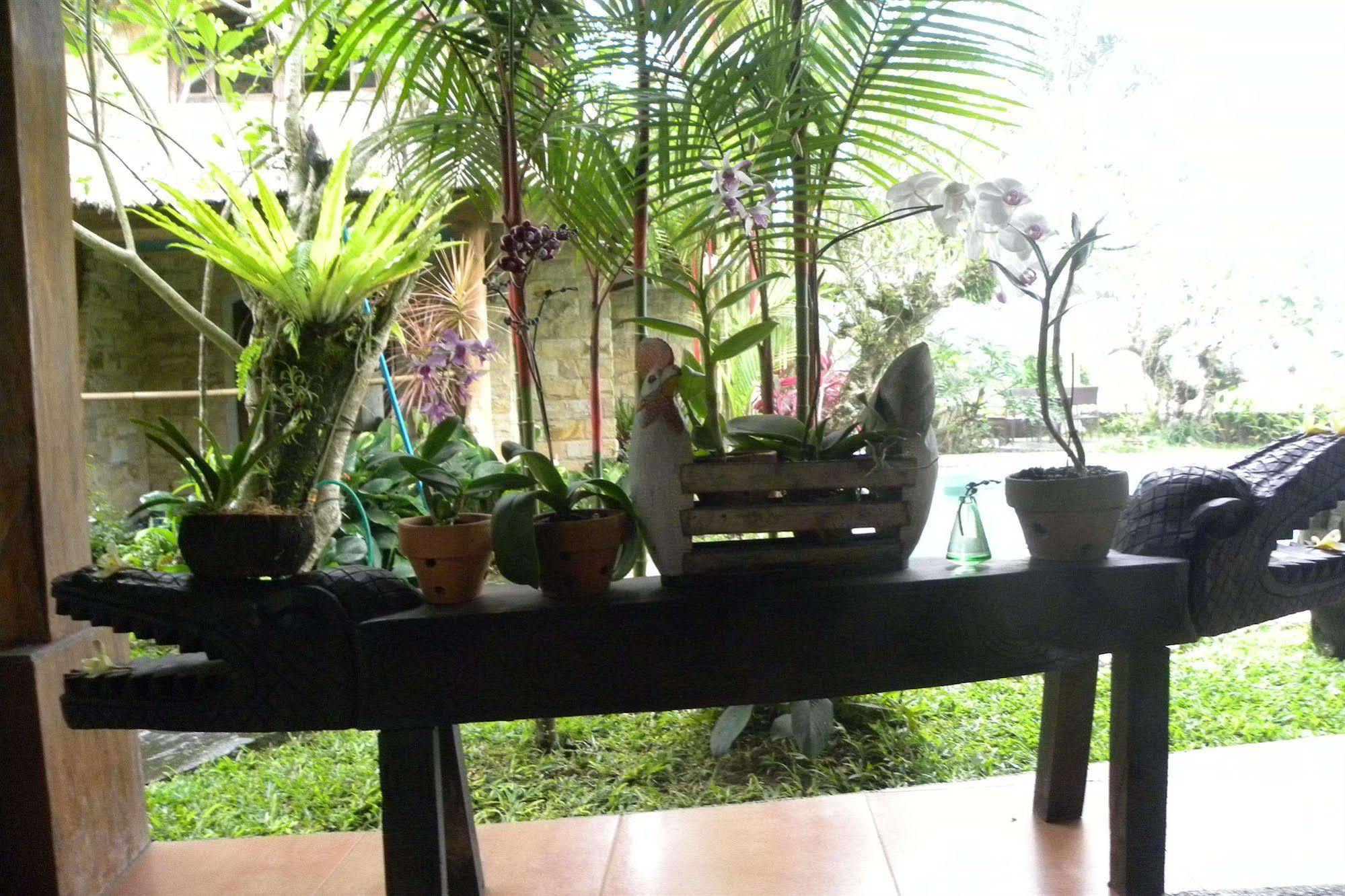 Saudara Home Ubud Buitenkant foto
