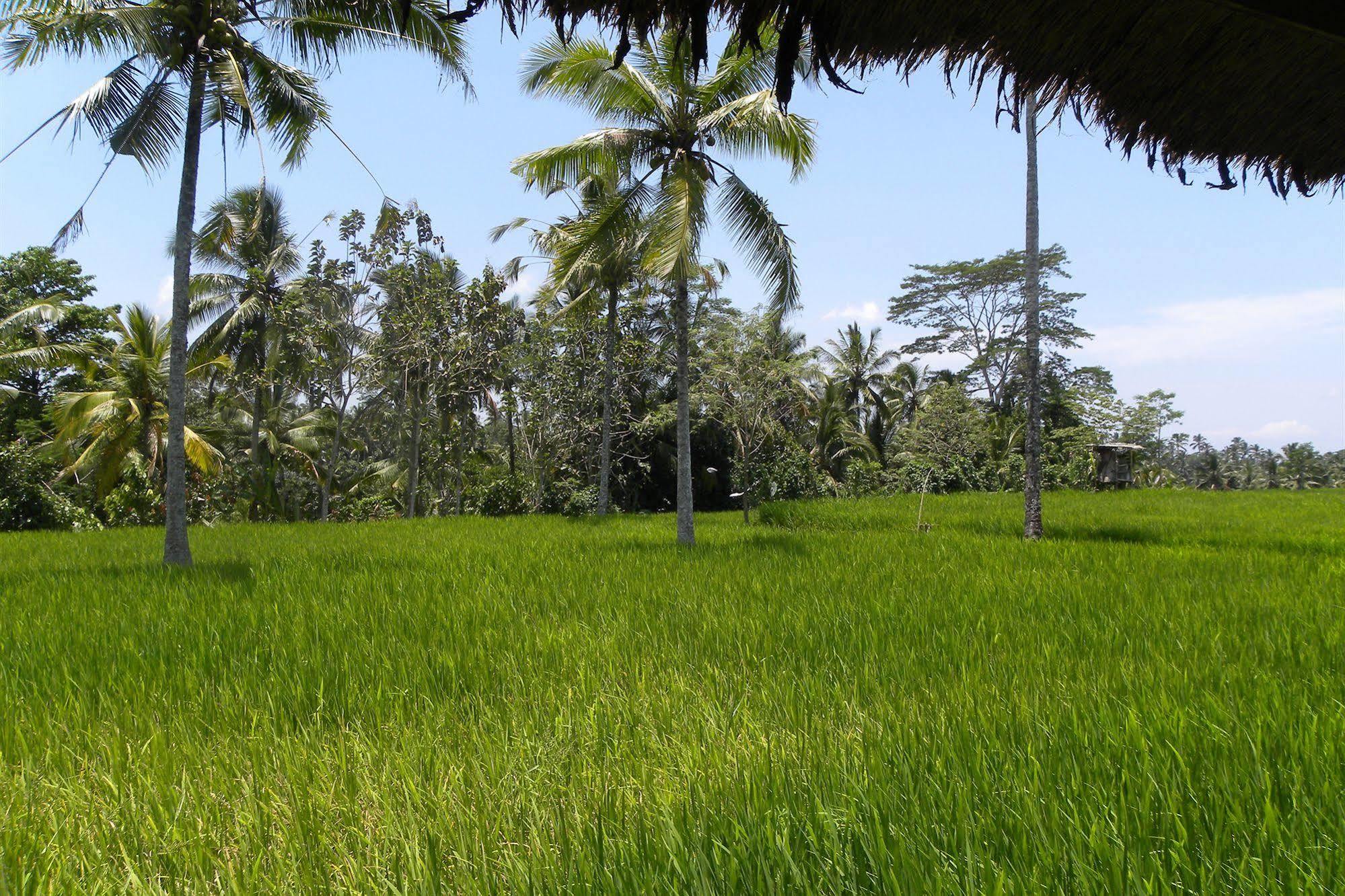 Saudara Home Ubud Buitenkant foto