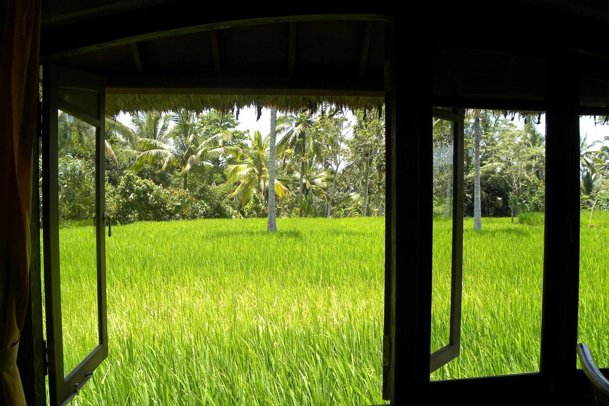 Saudara Home Ubud Buitenkant foto